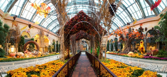 Harvest Display Brings Crisp, Autumn Air to Bellagio’s Conservatory & Botanical Gardens