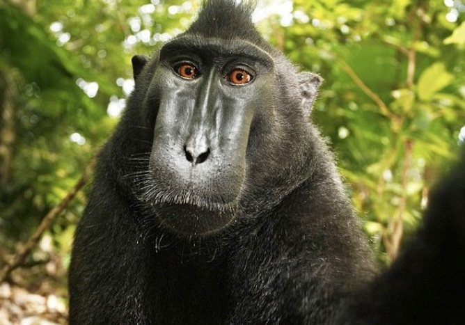 No make up on me! Wikimedia No make up on me! Wikimedia